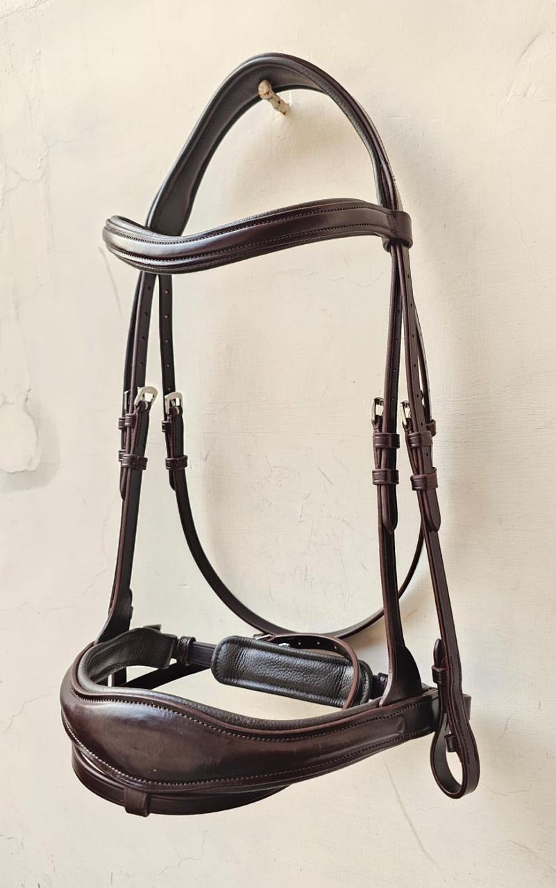 Anatomical Bridle