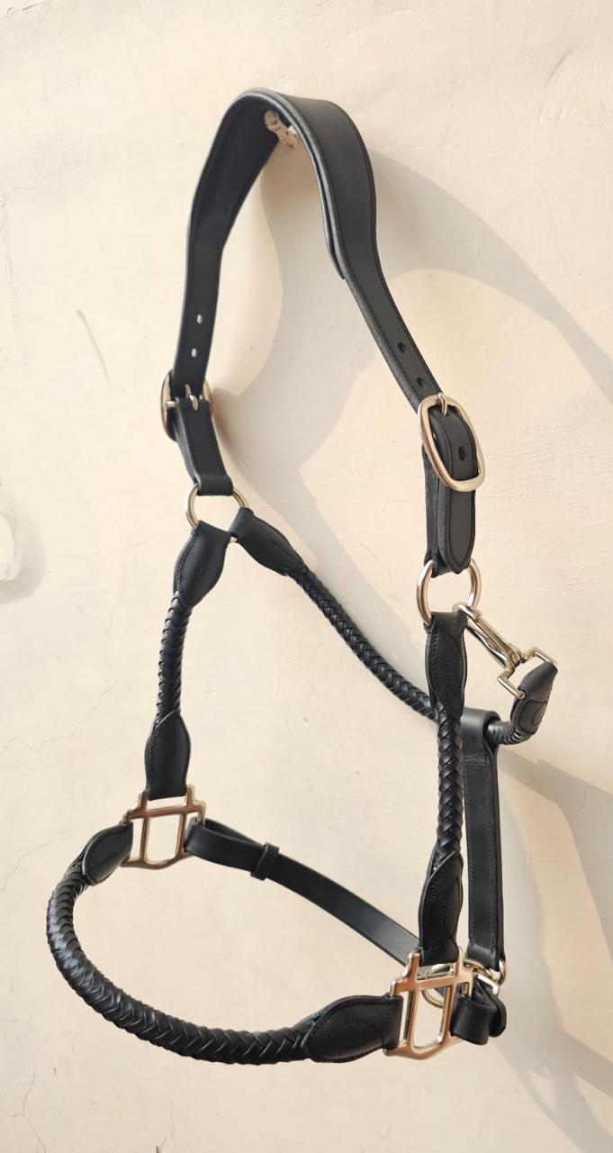 Padded Show Halter