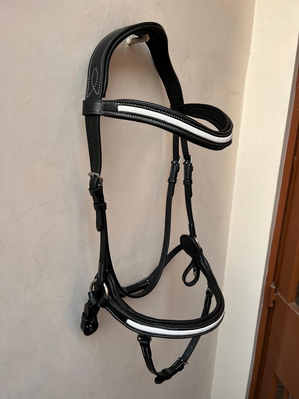 Nylon Web Halter