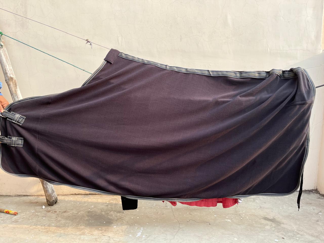 Turnout Rug — Heavy
